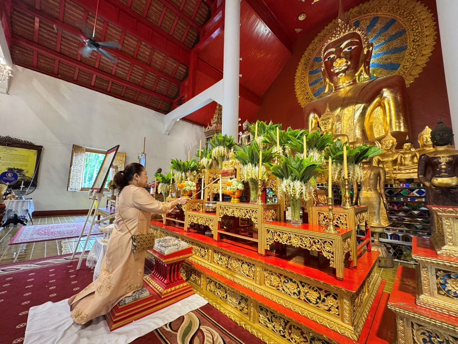 ทิพยประกันภัย ร่วมสืบสานพระพุทธศาสนา จัดโครงการ “พลังบุญทิพยร่วมสร้าง ครั้งที่ 239” เทศกาลวันวิสาขบูชา
